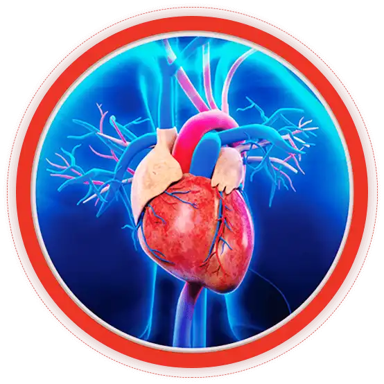 Benessere cardiovascolare